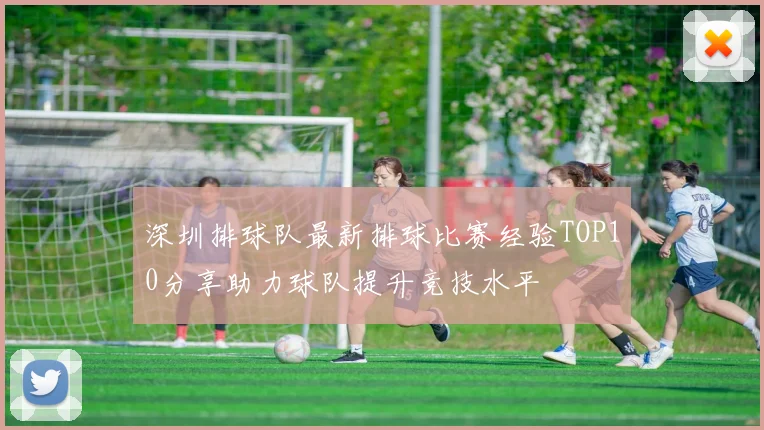 深圳排球队最新排球比赛经验TOP10分享助力球队提升竞技水平