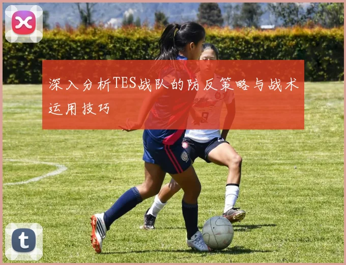 深入分析TES战队的防反策略与战术运用技巧