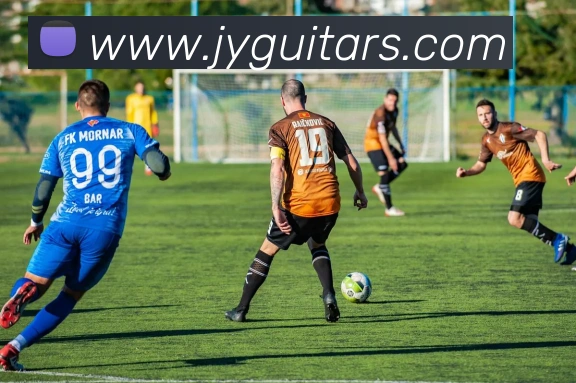 企业概况